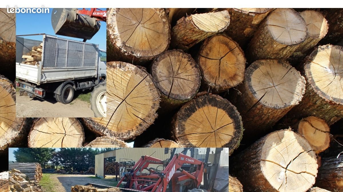 Bois de chauffage 1m livré 20 STERES + 2 GRATUITS
